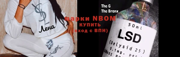 тгк Новодвинск