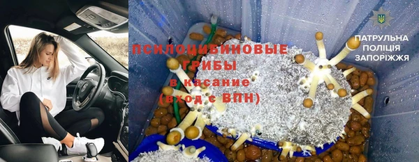СК Нягань