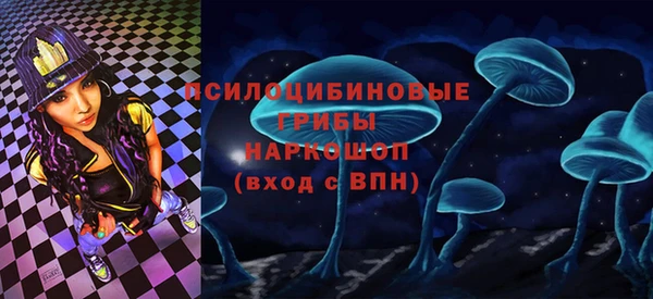 тгк Новодвинск