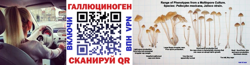 Псилоцибиновые грибы GOLDEN TEACHER  Новоаннинский 